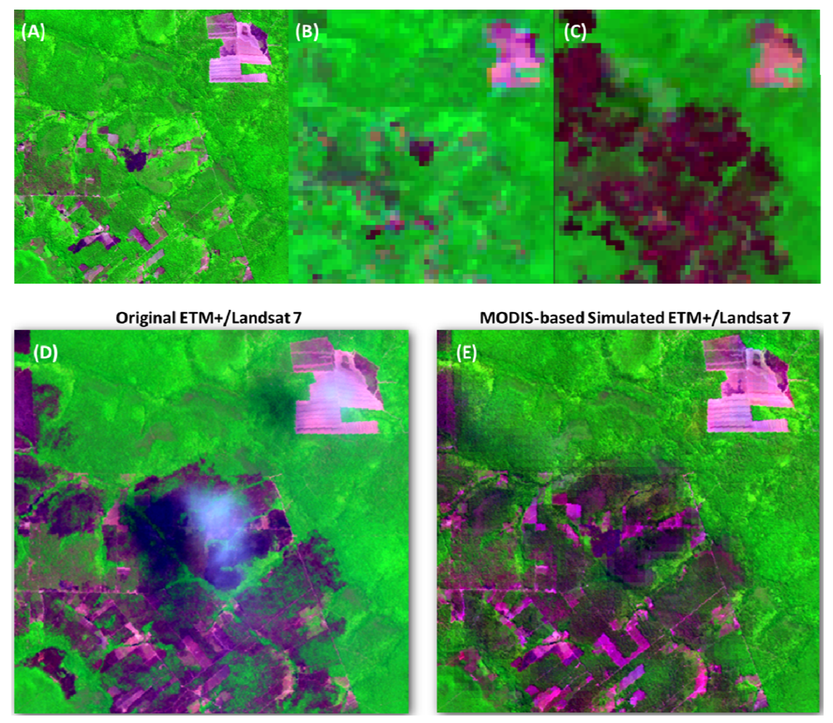 download topologie 1994