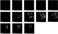 Remotesensing 04 00001f5 200