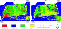 Remotesensing 04 00327f10 200