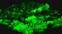 Remotesensing 04 00377f3 200