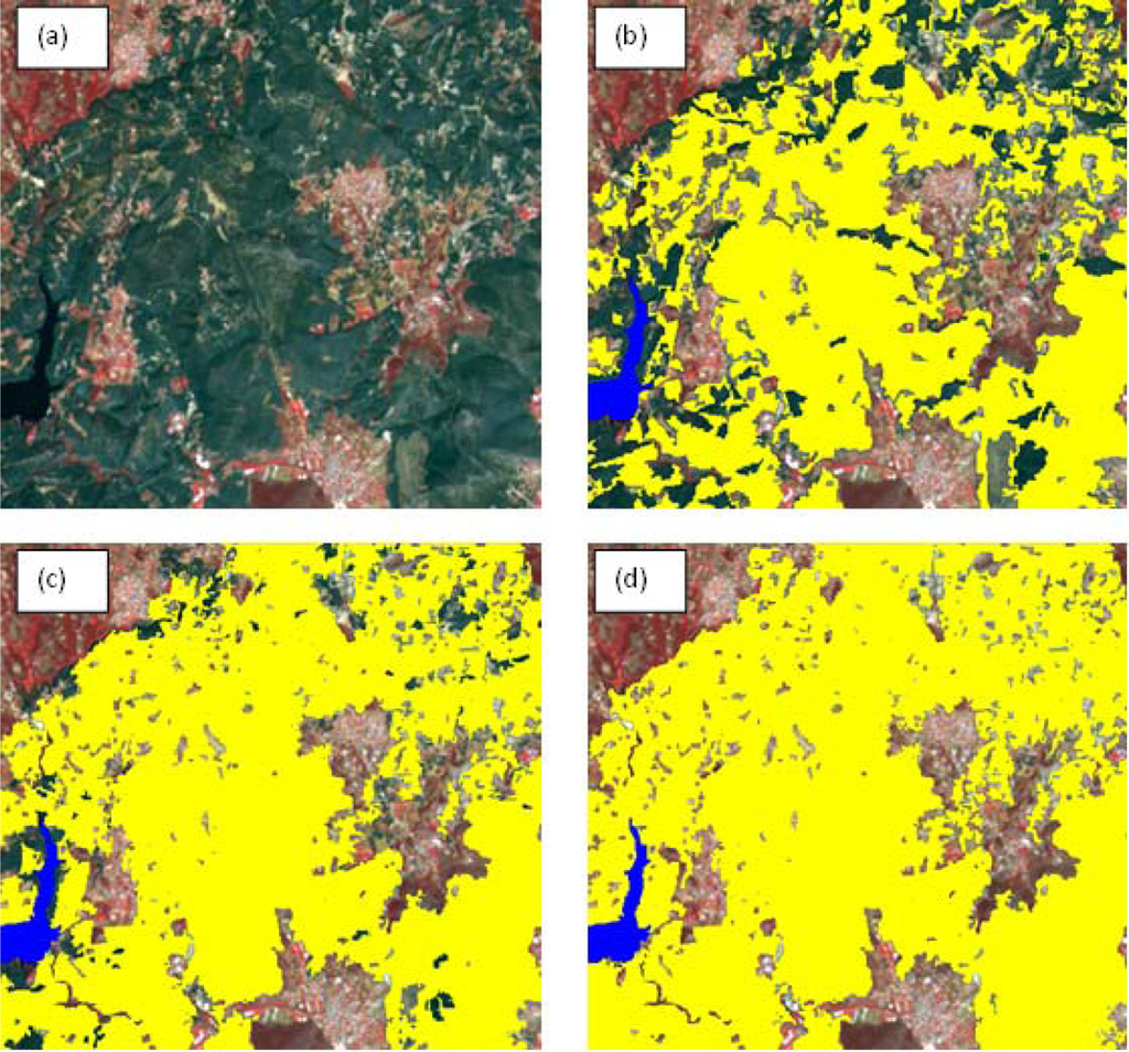 Remotesensing 04 00424f3 1024