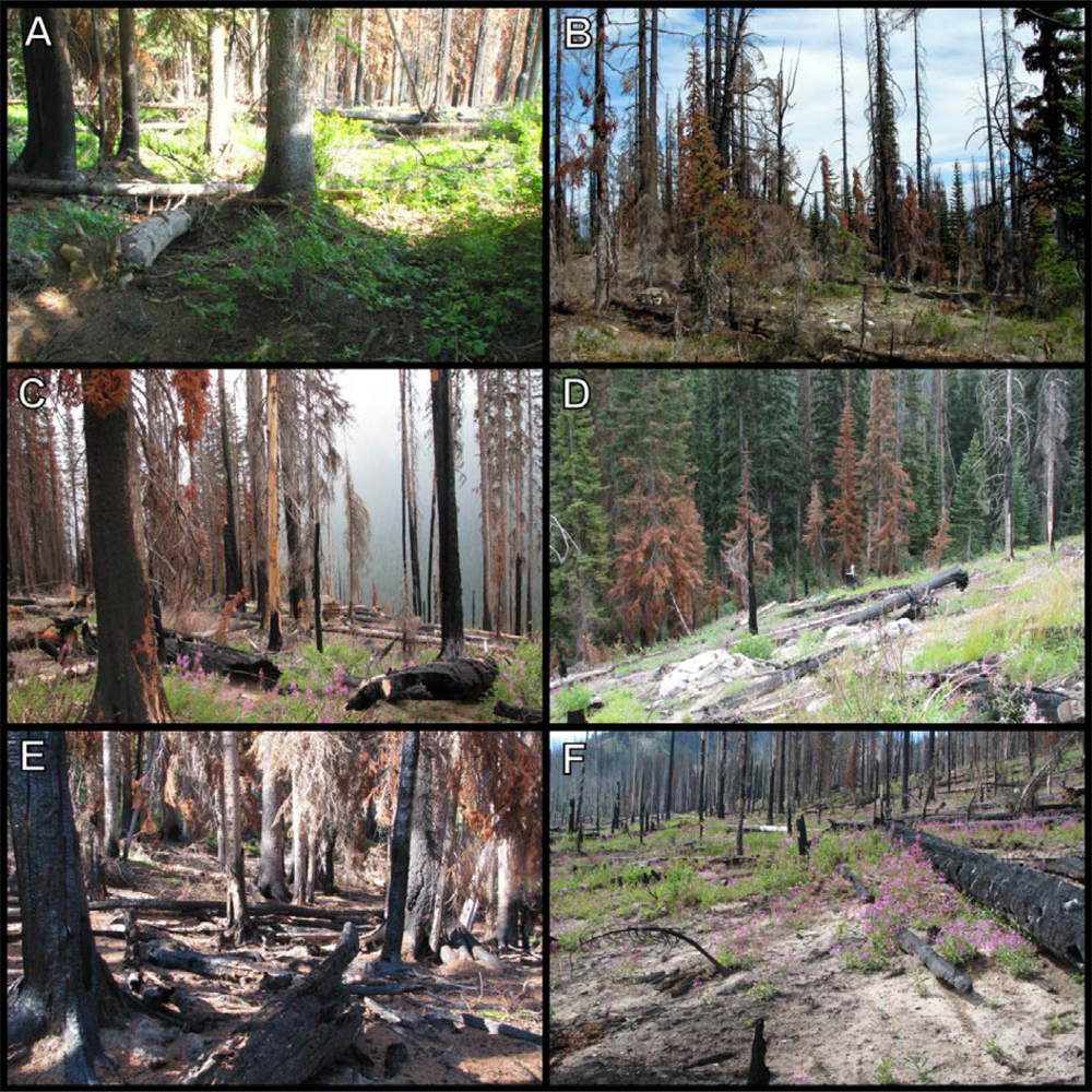 Remotesensing 04 00456f7 1024