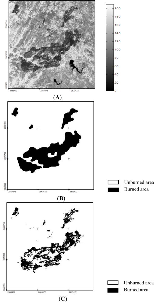 Remotesensing 04 00726f5 1024