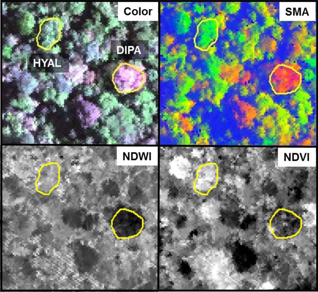 Remotesensing 04 01820f8 1024