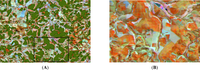 Remotesensing 04 02492f2 200