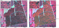 Remotesensing 04 02661f2 200