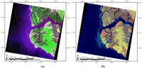 Remotesensing 04 02768f13 200