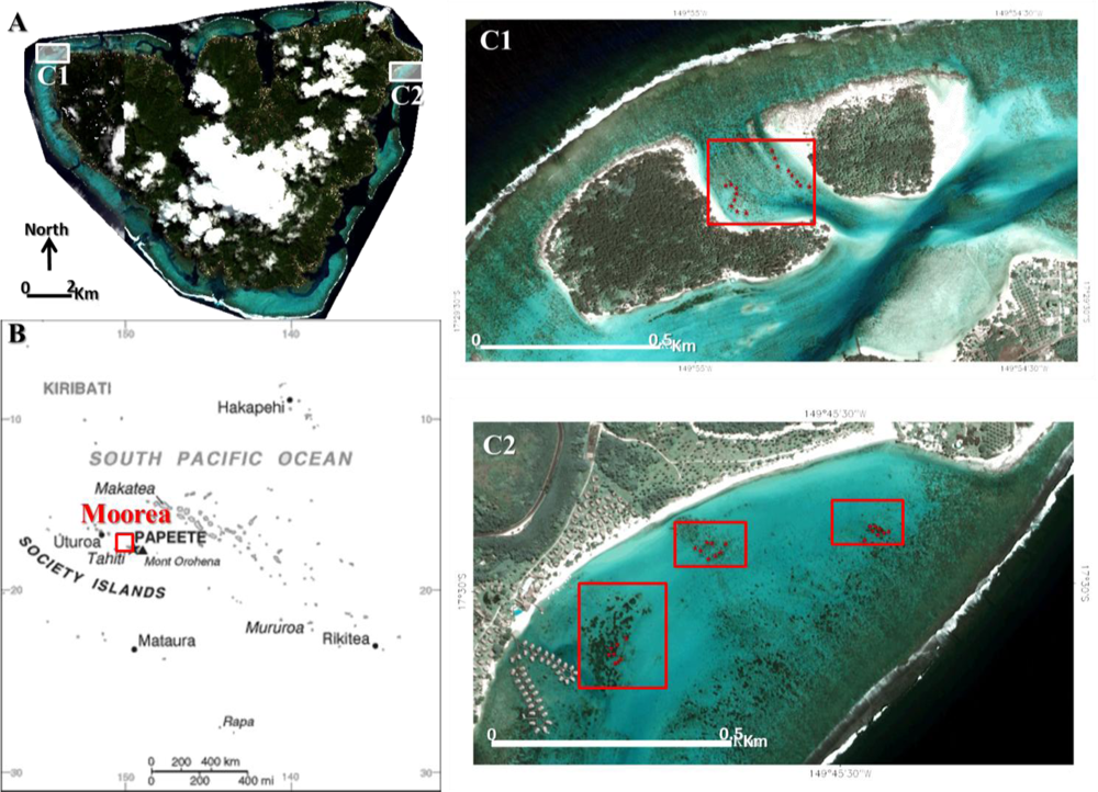 Remotesensing 04 03244f1 1024