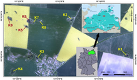 Remotesensing 04 03481f1 200