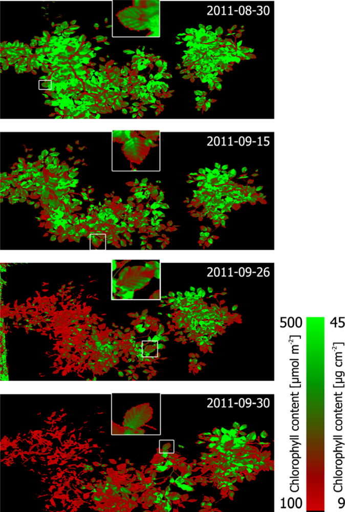 Remotesensing 04 03721f13 1024