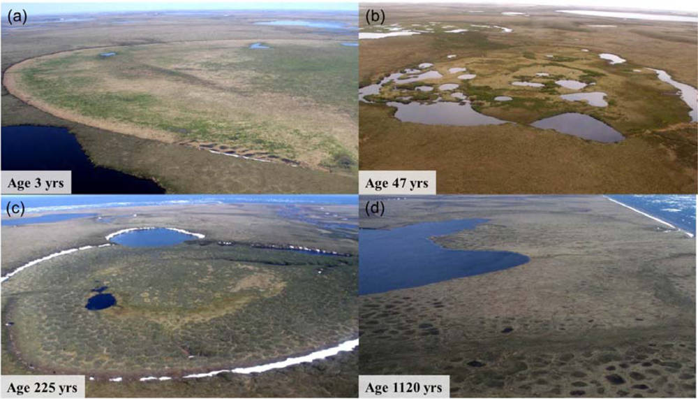Remotesensing 04 03741f2 1024