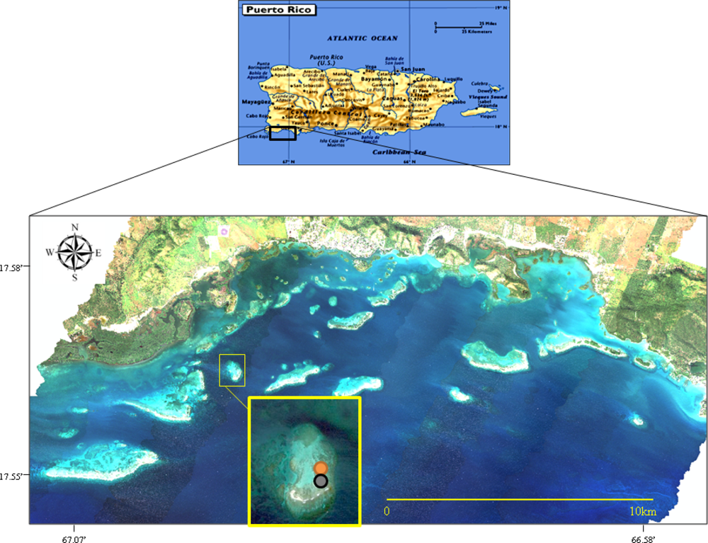Remotesensing 04 03813f1 1024