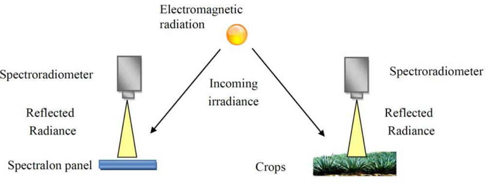 Remotesensing 04 03892f3 1024