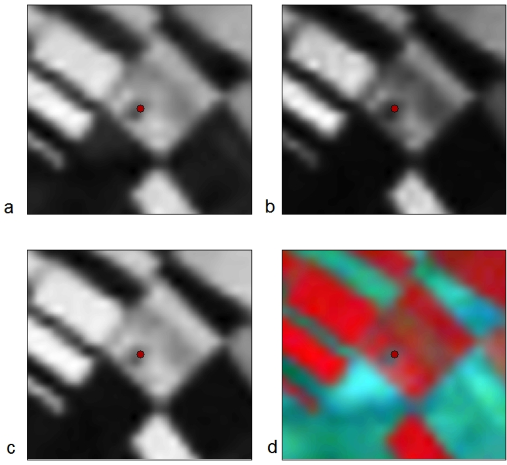 Remotesensing 04 03892f8 1024