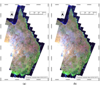 Remotesensing 05 00083f10 200