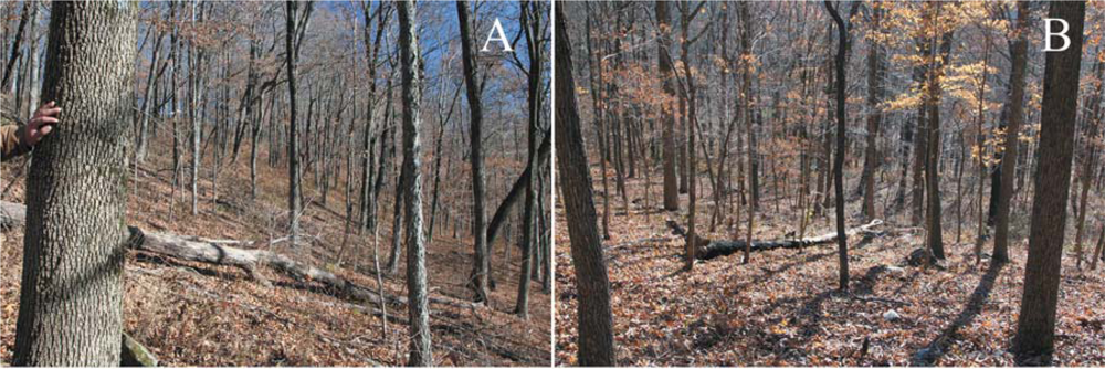 Remotesensing 05 00155f6a 1024