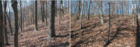 Remotesensing 05 00155f6b 200