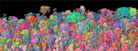 Remotesensing 05 00374f1 200