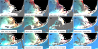 Remotesensing 05 00415f3 200