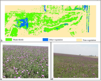 Remotesensing 05 00612f3b 200