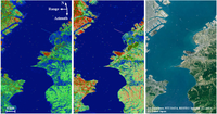 Remotesensing 05 00716f17 200