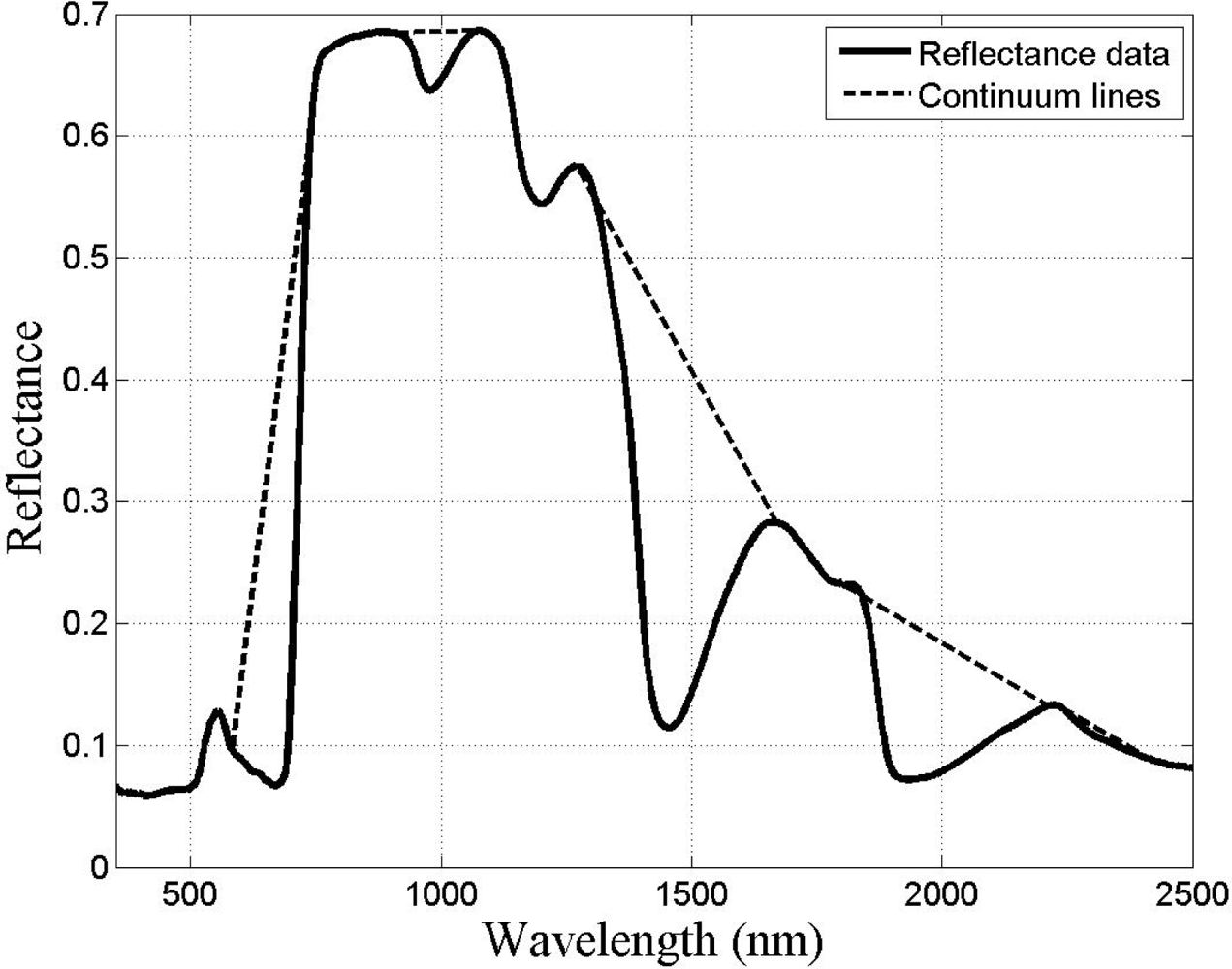 Remotesensing 05 00891f3 1024