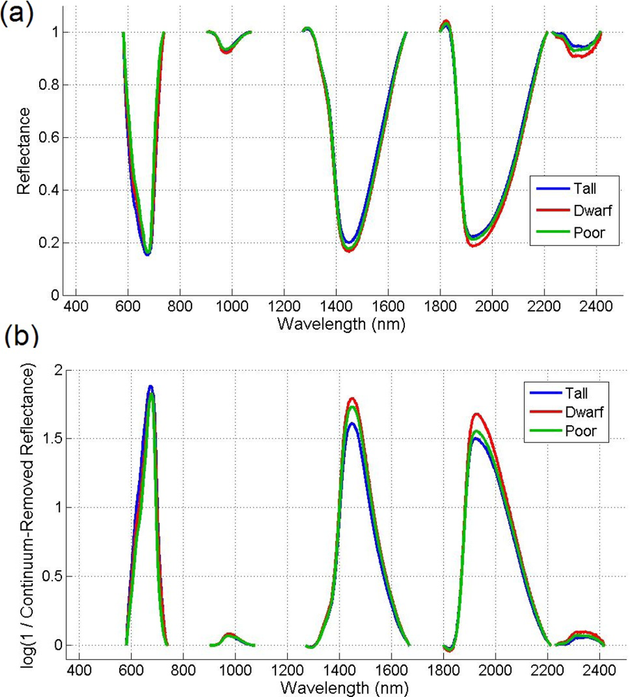 Remotesensing 05 00891f4 1024