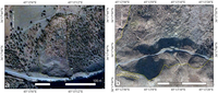 Remotesensing 05 01024f6 200