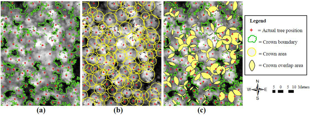 Remotesensing 05 01787f3 1024