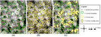 Remotesensing 05 01787f3 200