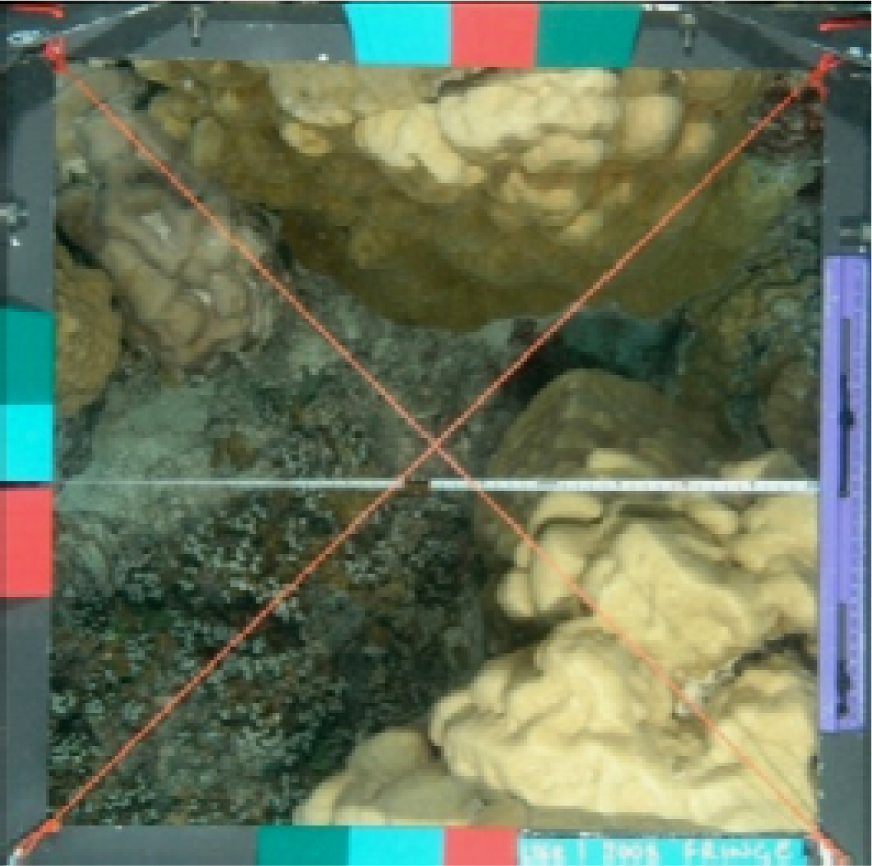 Remotesensing 05 01809f2 1024