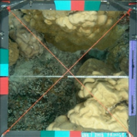 Remotesensing 05 01809f2 200