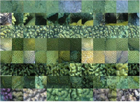 Remotesensing 05 01809f3 200