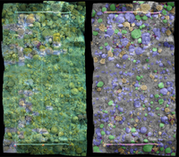 Remotesensing 05 01809f9 200