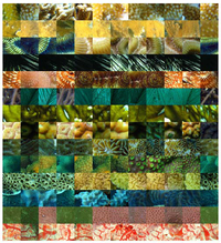 Remotesensing 05 01809fa1 200
