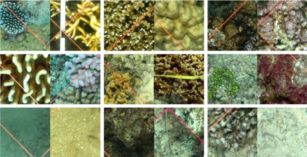 Remotesensing 05 01809fa2 1024