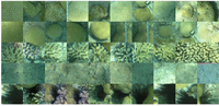 Remotesensing 05 01809fa6 200