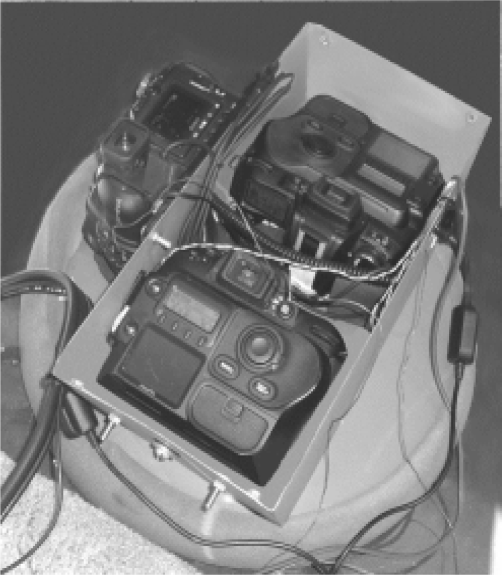 Remotesensing 05 01875f2 1024