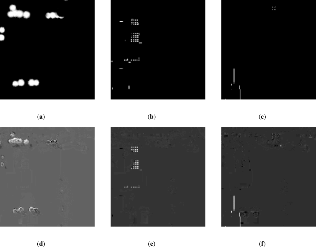 Remotesensing 05 01974f9 1024