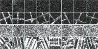 Remotesensing 05 02145f3 200