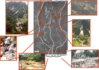 Remotesensing 05 02219f2 200