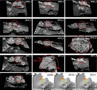 Remotesensing 05 02238f2 200