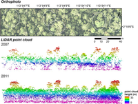 Remotesensing 05 02368f3 200