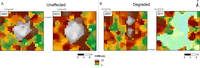 Remotesensing 05 02368f5 200