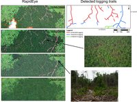 Remotesensing 05 02368f7 200