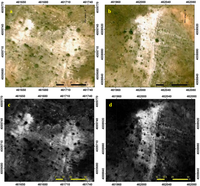 Remotesensing 05 02389f12a 200