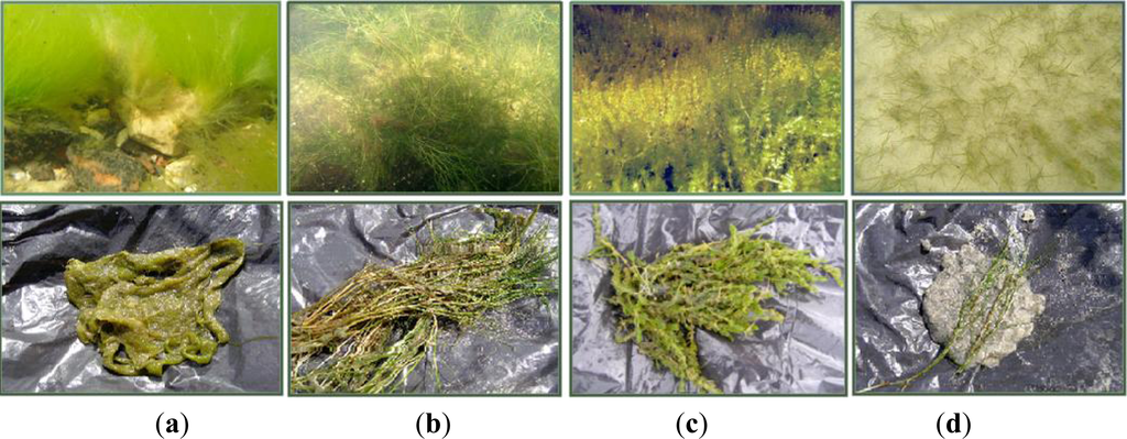 Remotesensing 05 02451f2 1024