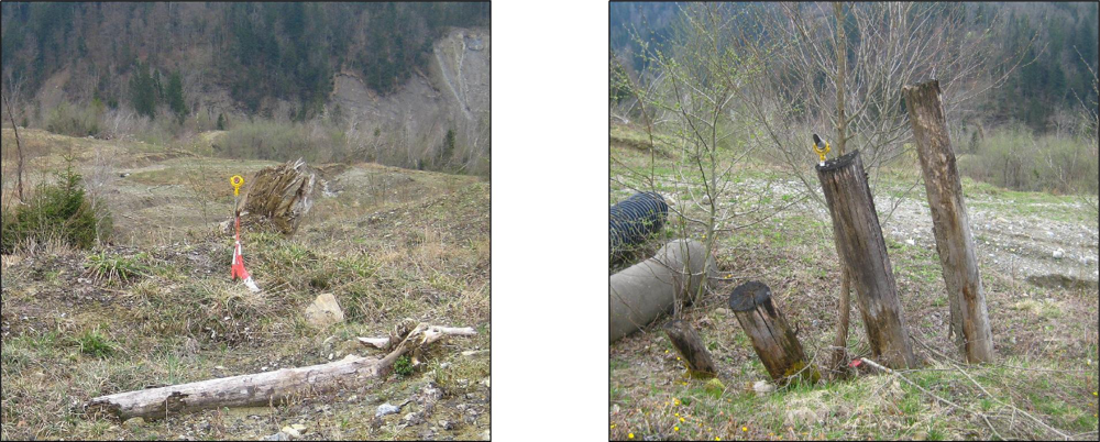 Remotesensing 05 02720f15