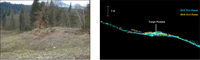 Remotesensing 05 02720f17 200