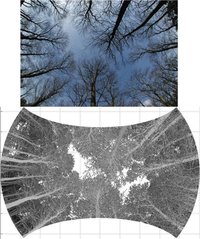 Remotesensing 05 03037f2 200